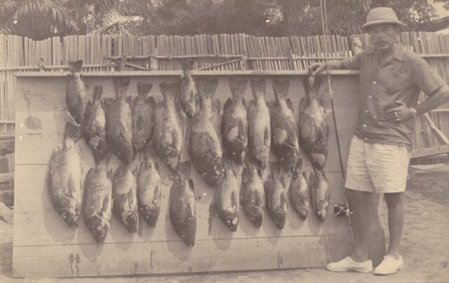 Pêche à distribuer alentour